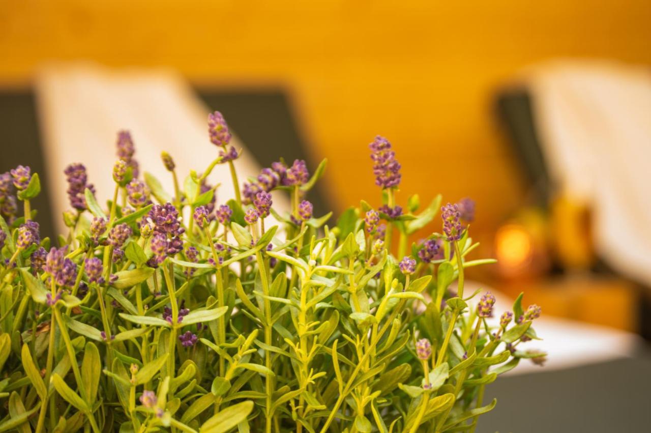 Apartment Wellnessoase Mitten In Triberg
