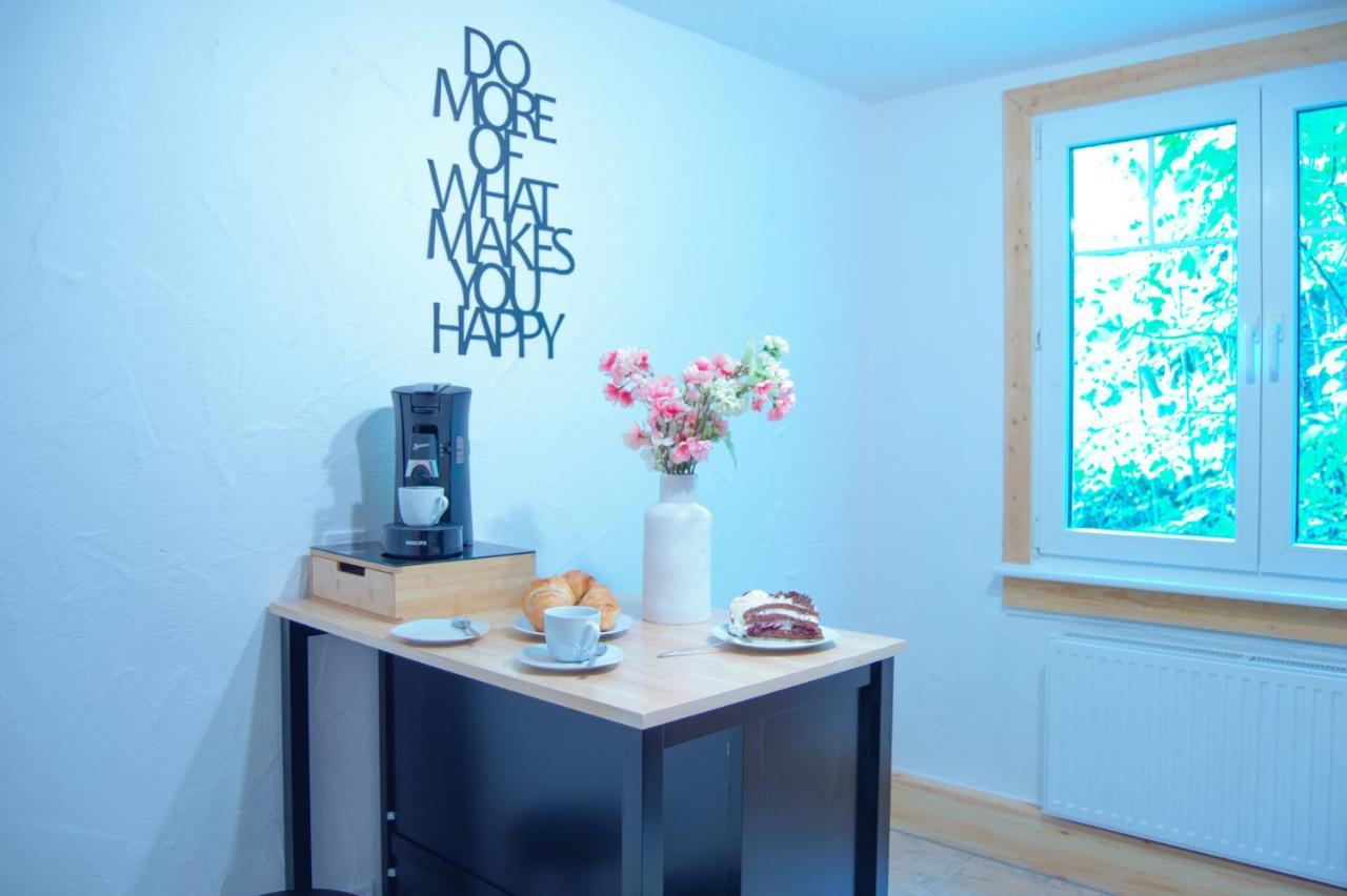 Wellnessoase Mitten In Triberg Apartment *